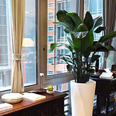 居家植物租摆